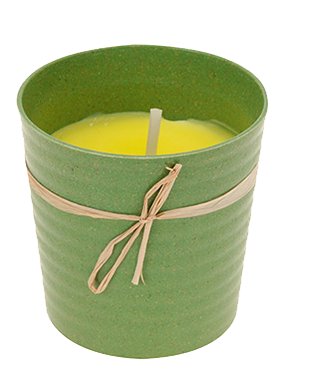CITRONELLA Candle Anti-Mosquito - Eco Pot